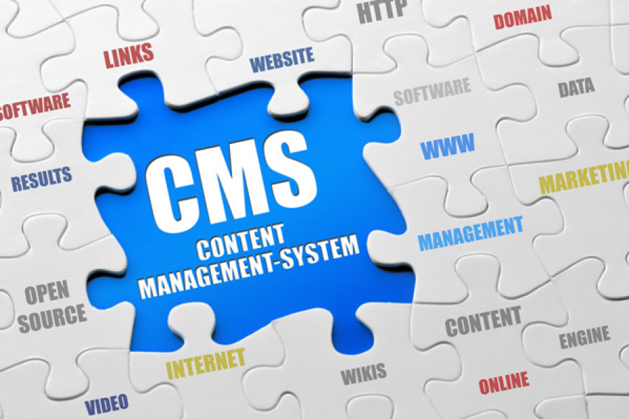 CMS WordPress là gì? Những CMS phổ biến nhất thế giới